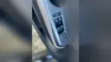 BYD Dolphin - Miniatura 17