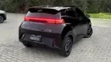 BYD Dolphin Mini - Miniatura 7