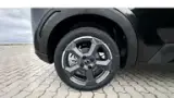 BYD Dolphin Mini - Miniatura 8