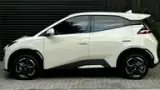 BYD Dolphin Mini - Miniatura 4