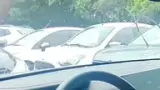 BYD Yuan Pro - Miniatura 16