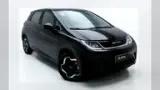 BYD Dolphin - Miniatura 2
