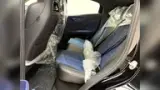 BYD Dolphin Mini - Miniatura 7
