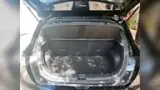 BYD Dolphin - Miniatura 6