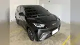 BYD Dolphin Mini - Miniatura 1