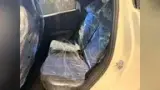 BYD Dolphin Mini - Miniatura 4