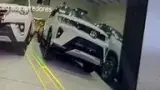 BYD Dolphin - Miniatura 13