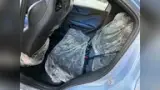 BYD Dolphin Mini - Miniatura 10