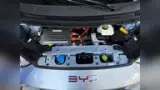 BYD Dolphin Mini - Miniatura 15