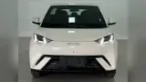 BYD Dolphin Mini - Miniatura 2