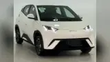 BYD Dolphin Mini - Miniatura 3