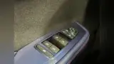 BYD Dolphin Mini - Miniatura 18