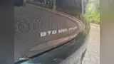 BYD Dolphin - Miniatura 9