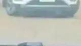 BYD Dolphin - Miniatura 11