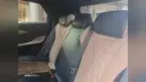 BYD Dolphin - Miniatura 18