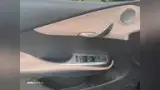 BYD Dolphin - Miniatura 20