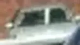 BYD Dolphin Mini - Miniatura 2