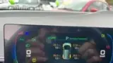 BYD Dolphin Mini - Miniatura 12