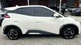 BYD Dolphin Mini - Miniatura 13