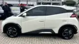 BYD Dolphin Mini - Miniatura 15