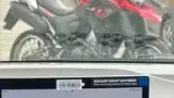 BYD Dolphin Mini - Miniatura 3