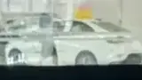 BYD Dolphin Mini - Miniatura 7