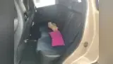 BYD Dolphin Mini - Miniatura 9