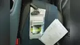 BYD Dolphin Mini - Miniatura 11