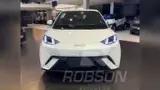 BYD Dolphin - Miniatura 1