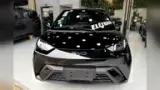 BYD Dolphin Mini - Miniatura 2