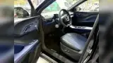 BYD Dolphin Mini - Miniatura 9