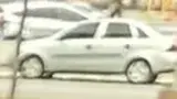 BYD Dolphin Mini - Miniatura 16