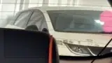BYD Dolphin - Miniatura 17