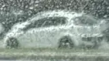 BYD Dolphin - Miniatura 3