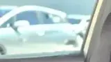 BYD Dolphin Mini - Miniatura 15