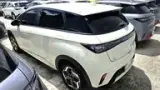 BYD Dolphin - Miniatura 6
