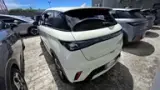 BYD Dolphin - Miniatura 7