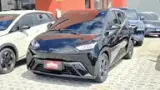 BYD Dolphin Mini - Miniatura 4