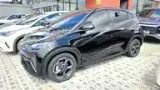 BYD Dolphin Mini - Miniatura 5