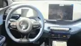 BYD Dolphin Mini - Miniatura 11