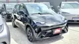 BYD Dolphin Mini - Miniatura 1