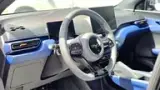 BYD Dolphin Mini - Miniatura 9