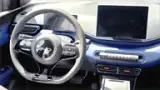 BYD Dolphin Mini - Miniatura 11