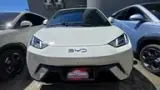 BYD Dolphin Mini - Miniatura 3