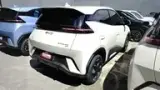BYD Dolphin Mini - Miniatura 8