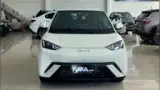 BYD Dolphin Mini - Miniatura 1