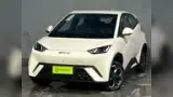 BYD Dolphin - Miniatura 1