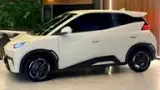BYD Dolphin Mini - Miniatura 5