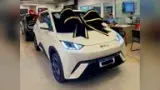 BYD Dolphin Mini - Miniatura 2