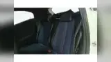 BYD Dolphin Mini - Miniatura 11